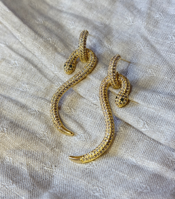 Snake Shape Drop Earrings